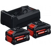BOSCH Expert 2x EXBA 18V-55 + GAL 12V/18V-80 Set de base 1600A0373P