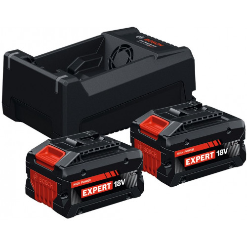 BOSCH Expert 2x EXBA 18V-55 + GAL 12V/18V-80 Set de base 1600A0373P