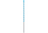 BOSCH Foret EXPERT CYL-9 MultiConstruction 6,5 x 200 x 250 mm 2608901482