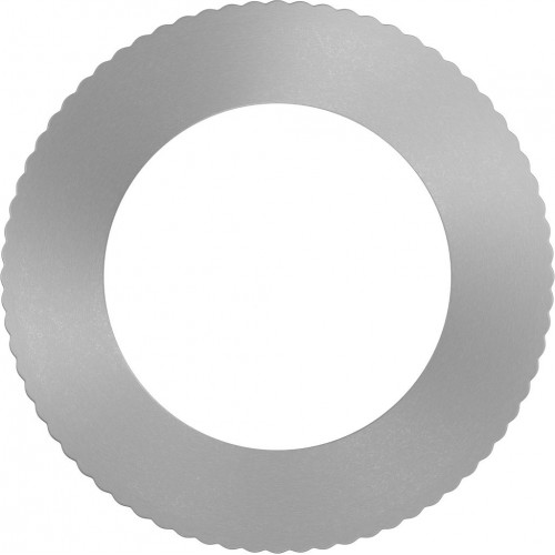 BOSCH Bague de réduction pour lame de scie circulaire PRO 25 x 15,875 x 1,2 mm 2600100201