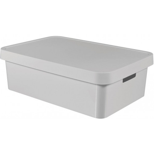 CURVER INFINITY 30L Bac de rangement avec couvercle 56 x 18 x 39 cm gris 01718-099