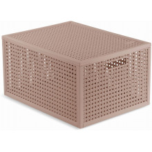 CURVER KAYA M 20L Boîte de rangement 37,6 × 30 × 20,7 cm, rose poudré 17213763