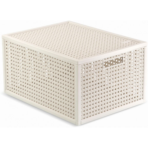 CURVER KAYA M 20L Boîte de rangement 37,6 × 30 × 20,7 cm, beige 17213763 CURVER KAYA M 20L Boîte de rangement 37,6 × 30 × 20,7 cm, beige 17213763