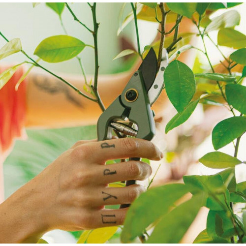 Fiskars Plant Care Sécateur de Jardin avec Étui, 20 cm 1075314