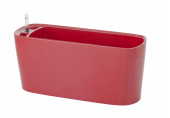 G21 Combi Mini Pot auto-arrosant, rouge, 40 cm 6392501