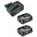 Gardena AL 18V-44 P4A Kit chargeur rapide + 2× batteries 2,5 Ah 14914-20