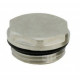 GEOS Bouchon de radiateur 1/2" nickelé 2827