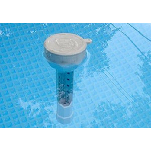 INTEX Thermometre flottant pour piscine 29039