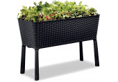 KETER EASY GROW 120L Jardiniere, rotin, anthracite 17194592