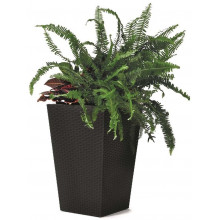 KETER RATTAN PLANTER M 55,4L Pot moyen, 38,5 x 57 cm, anthracite 17192301