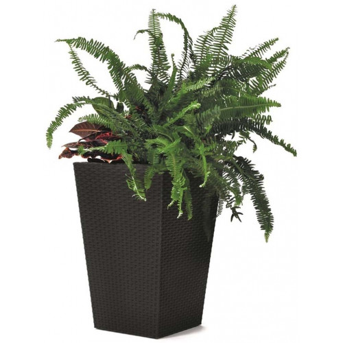 KETER RATTAN PLANTER L 144,8L Pot grand, 53 x 73 cm, anthracite 17192302