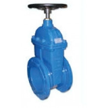 IVAR BRA.20.900 vanne a opercule a brides avec joint souple, DN 50, L=150 mm 20900050