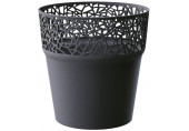 PROSPERPLAST TREE pot de fleurs, 12 cm, anthracite, DTRE120-S433