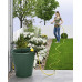 Kärcher BP 1 Barrel Pompe maison et jardin 1.645-460.0