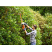 Black & Decker BEHTS301-QS Taille-haie (50cm/500W)