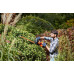 Black & Decker BEHTS301-QS Taille-haie (50cm/500W)