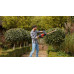 Black & Decker BEHTS301-QS Taille-haie (50cm/500W)