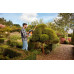 Black & Decker BEHTS301-QS Taille-haie (50cm/500W)