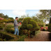 Black & Decker BEHTS401-QS Taille-haie (55cm/500W)
