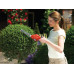 Black & Decker GSL300-QW Sculpte-haies (15cm/3,6V/1,1Ah)