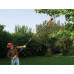 Black & Decker PS7525-QS Élagueur sur perche (25cm/800W)
