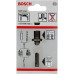 BOSCH Queue d’emmanchement SDS plus pour mandrin 1617000132