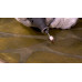 DREMEL Pointe polisseur 10 mm 4 pieces 26150422JA