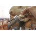 DREMEL Protege-griffes d’animaux de compagnie AT02-PGK (AT02-PGK) 2615PG02JA