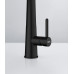 Franke ICON SEMI PRO DOUCHETTE 2 JETS Mitigeur, Noir mat 115.0690.598