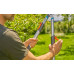GARDENA TeleCut Basic Sécateur télescopique 12020-20