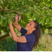 GARDENA PremiumCut Sécateur 12241-20