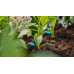 GARDENA MDS Goutte a goutte 13315-20