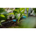 GARDENA MDS Goutte a goutte 13315-20