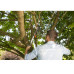 Gardena Comfort SmartCut Coupe-branches a enclume, ø 45 mm 8773-20