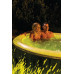 INTEX PureSpa Glow Deluxe Bubble Spa gonflable pour 4 personnes S2 28494NP