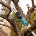 Makita DUA200Z Tronçonneuse d'élagage sur perche 18V sans batterie