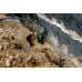 Metabo SP 120-35 S Pompe immergée pour eau sale 601794000