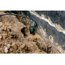 Metabo SP 150-35 S Pompe immergée pour eau sale 601795000