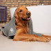 VILEDA Pet Pro Serviette en microfibre M 172650