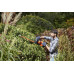 Black & Decker BEHTS301 Taille-haie (50cm/500 Watt)