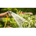 BOSCH GardenPump 18V-2000 Pompes a eau de pluie sans-fil 06008C4202