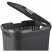 CURVER STYLE 60L Coffre a linge 44,8 x 61,5 x 34,1 cm, gris foncé 00707-308