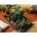 Fiskars gardening Tapis pour plantation des plantes 1071304