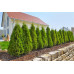 GARDENA Kit d'initiation Micro-Drip System 13011-20