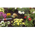 GARDENA Micro-Drip-System Centrale d'irrigation 1000 pour arrosage goutte-a-goutte 1355-20
