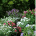 GARDENA Micro-Drip-System-asperseur 360° 5 pcs.1365-20