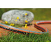 GARDENA Comfort FLEXTuyau 13 mm (1/2") 50 m 18039-20