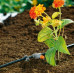 GARDENA Micro-Drip-System Goutteurs auto-régulants en ligne 8343-20