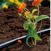 GARDENA Micro-Drip-System Goutteur auto-régulant 2l/h 25pcs. 1340-20