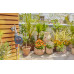 GARDENA Contrôle de l'eau Easy Plus, minuterie d'irrigation 01897-20